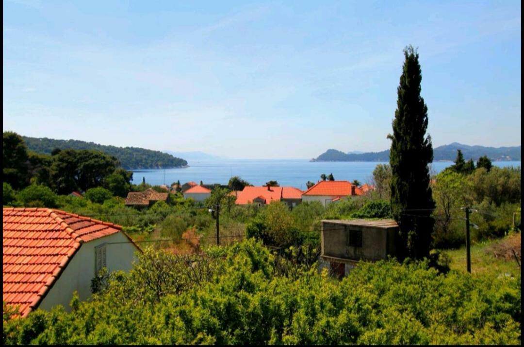 Ivan&Marica Guest House Lopud Esterno foto