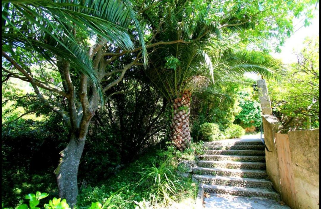 Ivan&Marica Guest House Lopud Esterno foto